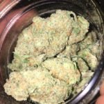 Buy Gorilla Glue - Image 3