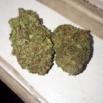 Hindu kush