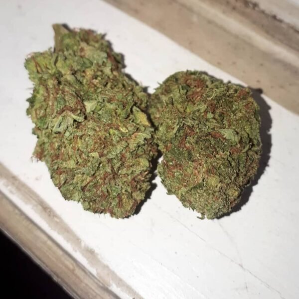 Hindu kush