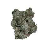 Buy Grizzly Genetics Kush (award winner – 34.9% THC)