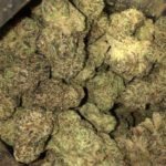 Buy Runtz kush