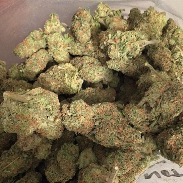 Buy Sunset Sherbet Kush