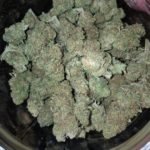 Strawberry Cough Strain