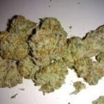 Blueberry Pie - Image 2