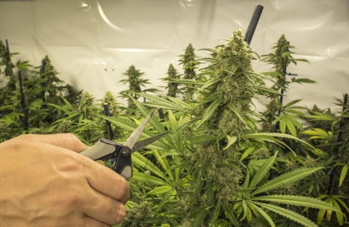 shutterstock_286031705-690x450