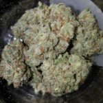 Buy White Widow Kush